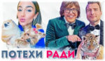 Знаменитости, которых обвиняли в жестоком обращении с животными
